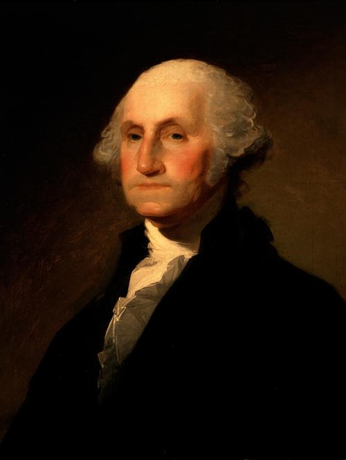 George Washington演员表全部