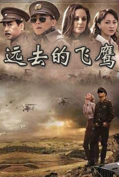 飞鹰展翅电影免费观看高清中文