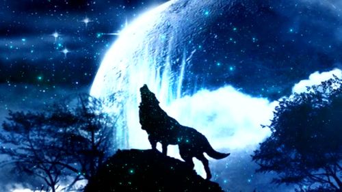月夜之狼免费完整版