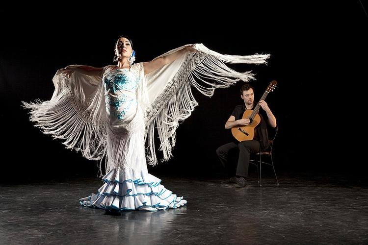 Los flamencos免费在线观看高清版