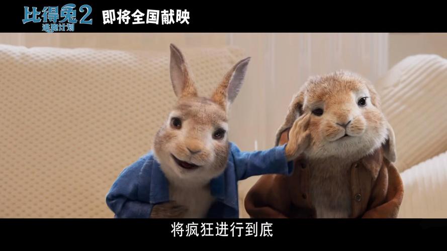 白色兔子国语电影完整版