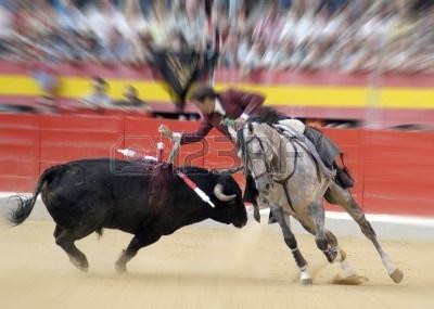 电影Bullfighter