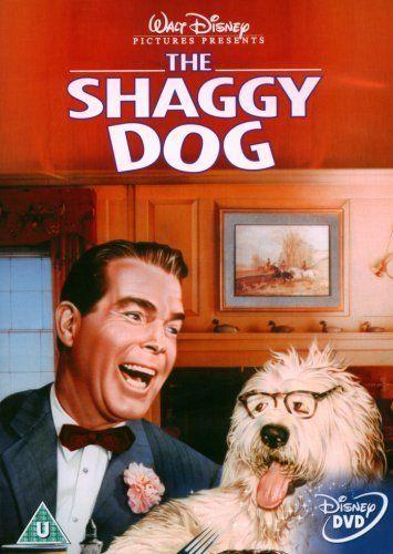 The Shaggy Dog国语版在线观看