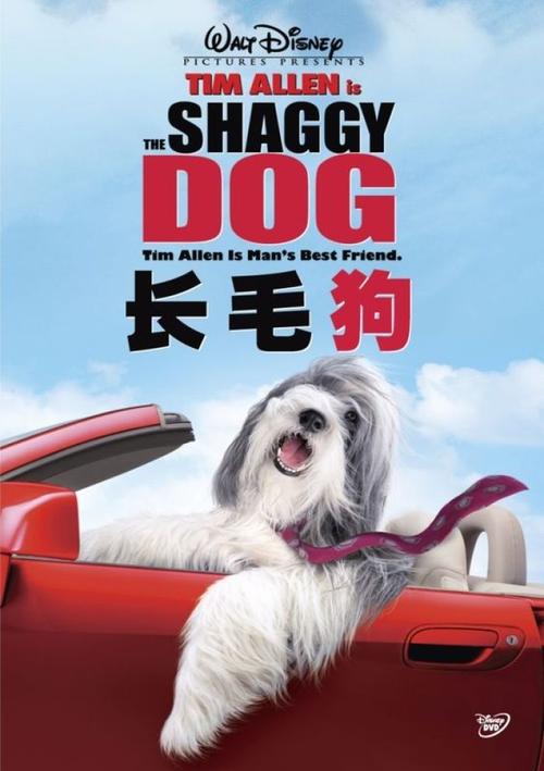 The Shaggy Dog电影完整版视频在线观看