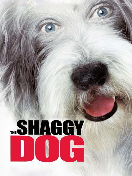 The Shaggy Dog电影免费在线观看高清完整版