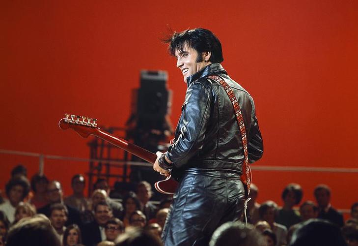 Elvis电影免费版高清在线观看