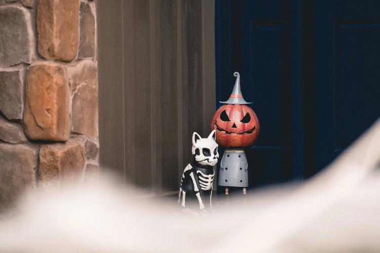 《Happy Halloween》在线完整观看免费蓝光版