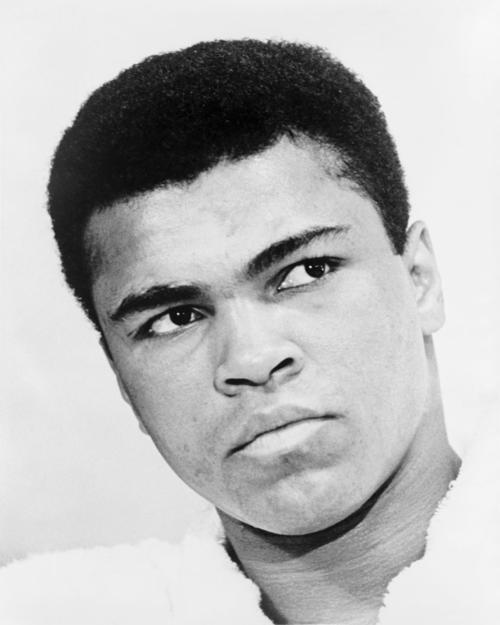 Muhammad Ali: Made in Miami全集手机免费观看