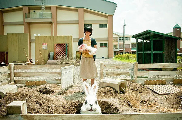 《恐怖兔子》电影免费在线观看高清完整版