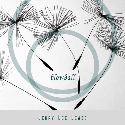 《Untitled Jerry Lee Lewis Project》未删减版在线观看